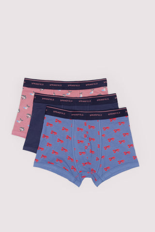 Paquete de 3 Bragas con Estampado