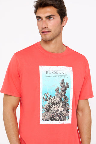 Camiseta Manga Corta con Gráfico.