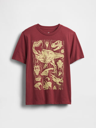 Camiseta Manga Corta con Gráfico, Niño