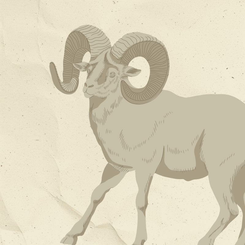 Estilo Aries con piezas de moda que destacan por su actitud y presencia