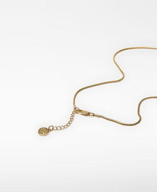 Collar Pieza Móvil Metálica