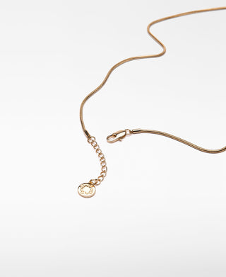 Collar Ajustable con Pieza Metálica Bicolor