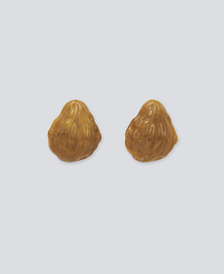 Aretes de Resina