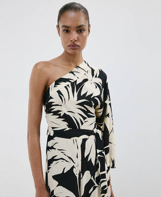 Mono Palm.