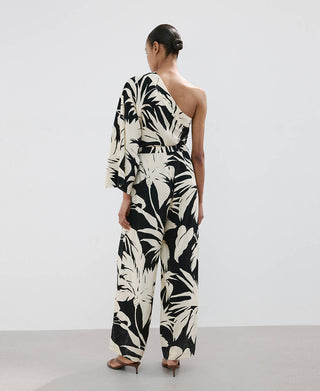 Mono Palm.