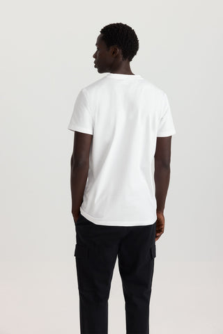 Camiseta Lycra C/ Pico.