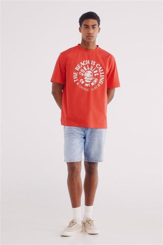 Camiseta Manga Corta con Gráfico