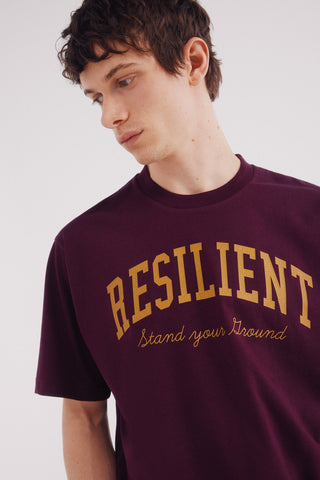 Camiseta Manga Corta con Gráfico