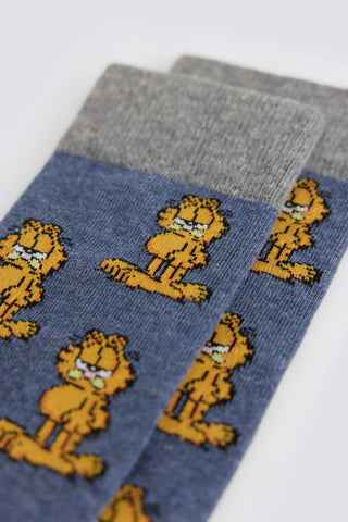 Ind  Lic  Garfield.
