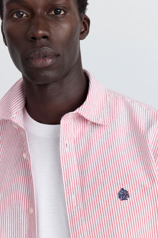 Striped Oxford Original.