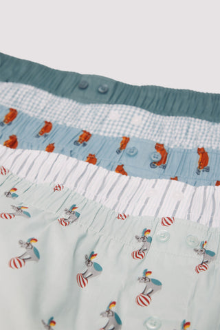 Paquete de 3 Bóxers con Estampado