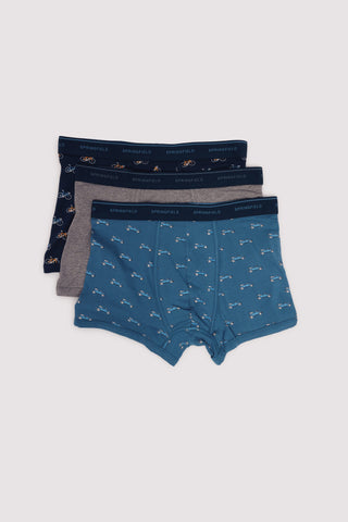 Paquete de 3 Boxers con Estampado