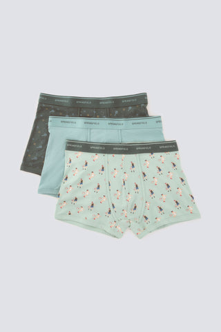 Paquete de 3 Bóxers con Estampado