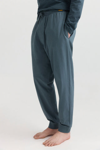Pij  Lic Gardield Stripe.