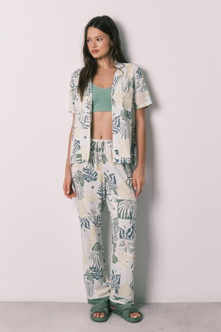 Mp Hibiscus Pj Fr.