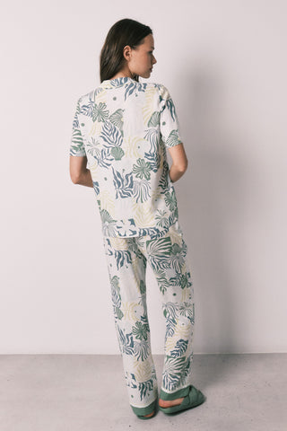 Mp Hibiscus Pj Fr.