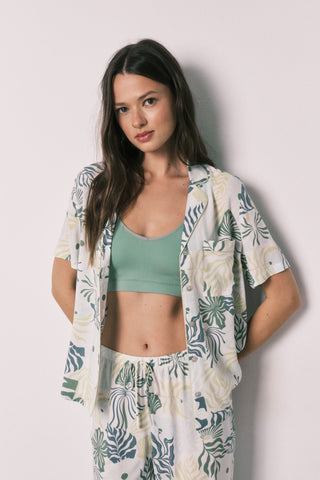 Mp Hibiscus Pj Fr.