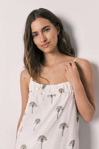 Wr Palms Pj.