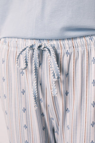Df Cactus Pj.