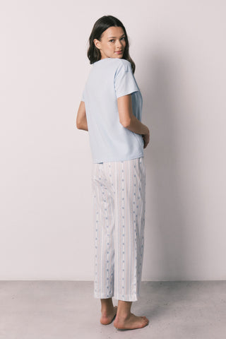 Df Cactus Pj.