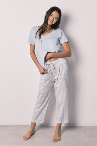 Df Cactus Pj.