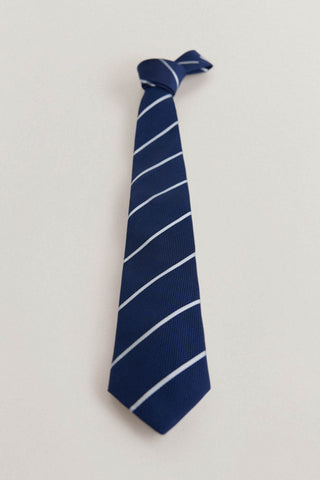 Corbata de Seda Natural con Estampado de Rayas