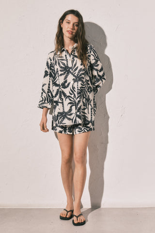Mmp Palms Set.