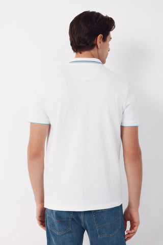 C5K Polo Tips Fantasia.