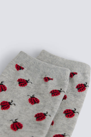 3.T.B.Cl Gris Mariquitas.