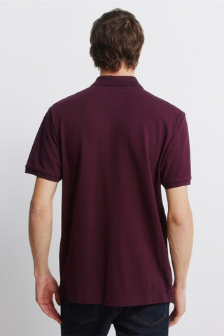 Regular Fit Polo Shirt with Embroidered Logo
