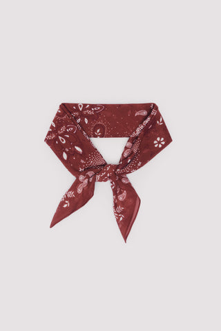 Pañuelo con Estampado Paisley