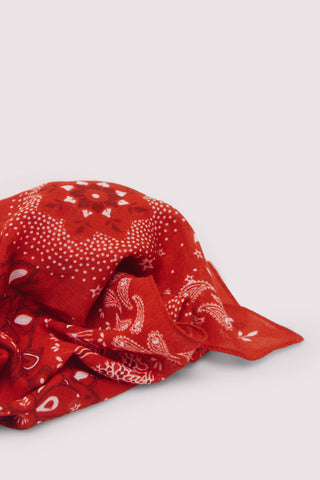 Pañuelo con Estampado Paisley con Flores