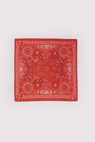 Pañuelo con Estampado Paisley con Flores