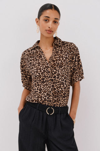 Camisa Manga Corta Cuello Solapa