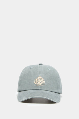 Gorra Denim Básica con Logo