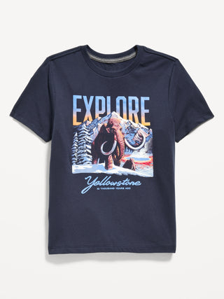 Camiseta Manga Corta con Gráfico, Niño