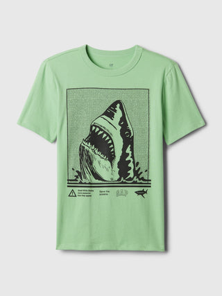 Camiseta Manga Corta con Gráfico, Niño
