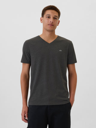 Camiseta con minilogotipo Everyday Soft Gap.