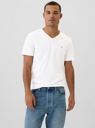 Camiseta con minilogotipo Everyday Soft Gap.