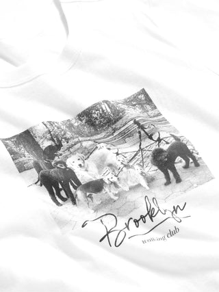 Camiseta Manga Corta con Gráfico
