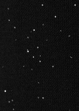 Blusa Manga Larga con Detalle Brillos