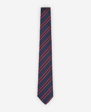 Corbata Rayas Multicolor